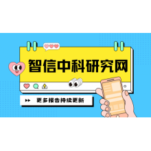 頭盔光致變色過渡遮陽板市場銷售現狀與競爭趨勢研究報告